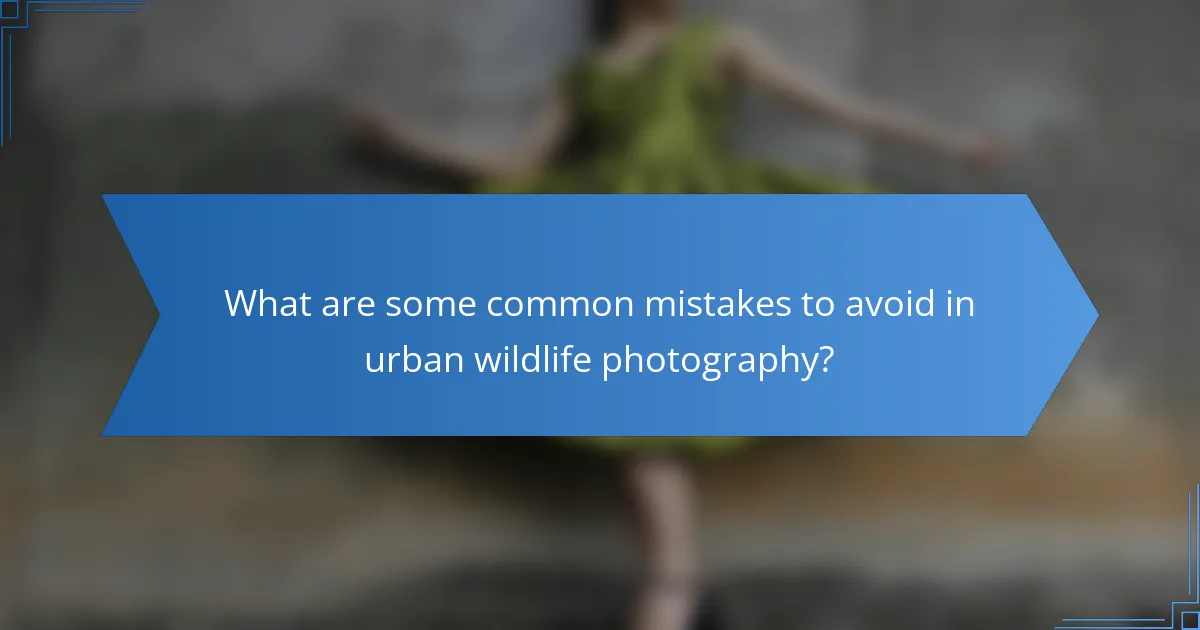 What are some common mistakes to avoid in urban wildlife photography?