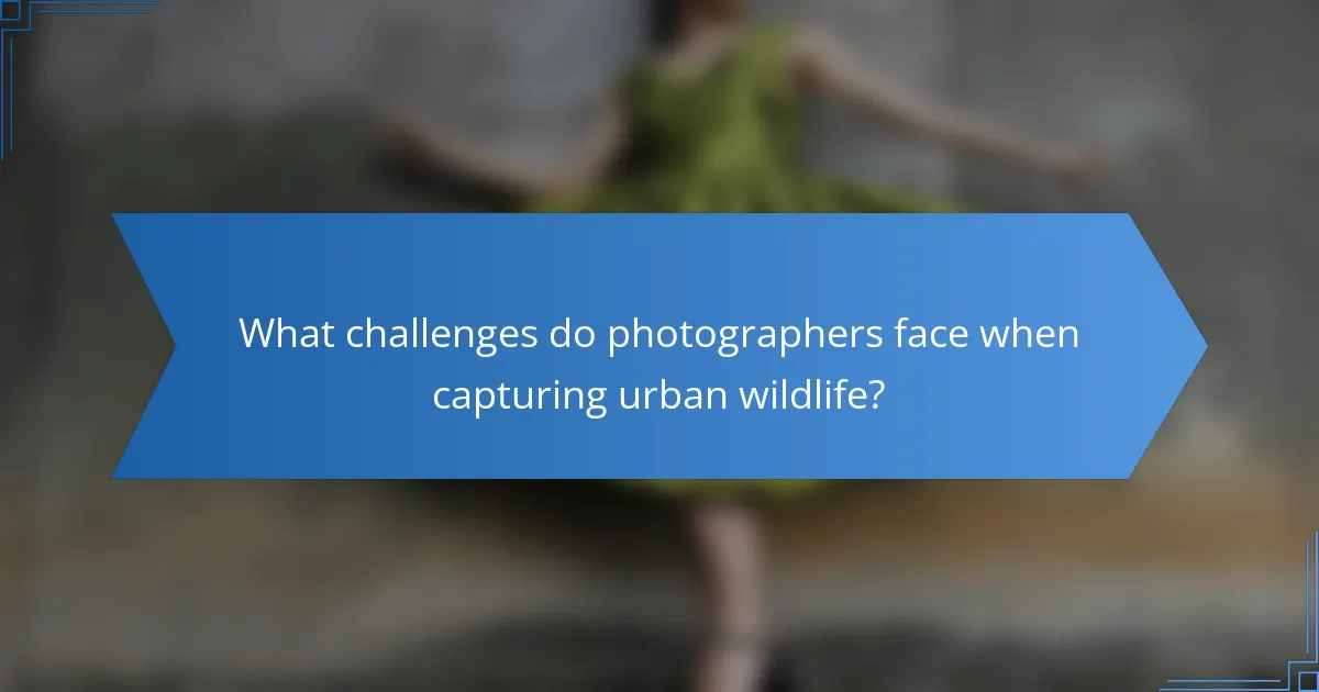 What challenges do photographers face when capturing urban wildlife?
