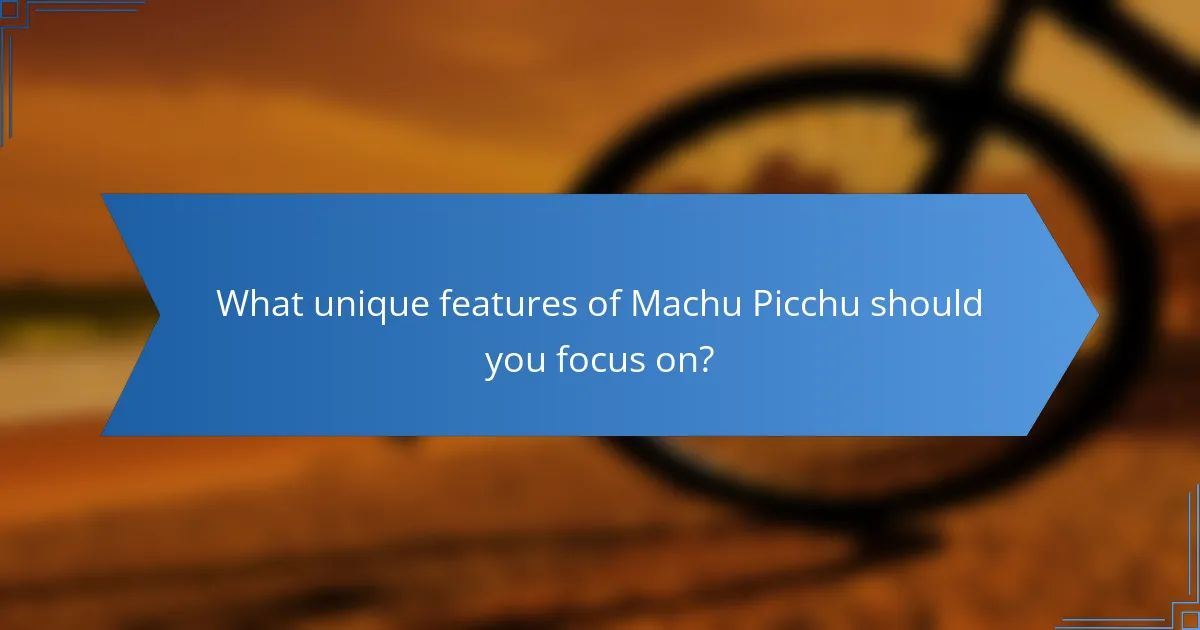 What unique features of Machu Picchu should you focus on?